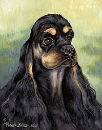 Full Grown Black American Cocker Spaniel Study In Black And Tan Spaniel Art Cross Paintings Cocker Spaniel
