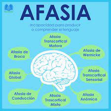 Las afasias son trastornos del lenguaje debidos a lesiones en el encéfalo, las cuales producen un los 7 tipos de afasias. Afasia Definicion Tipos Y Caracteristicas Neuroclass