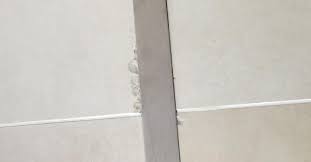 Floor Repair Services Plastic Surgeon