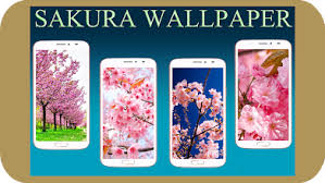 Find sakura pictures and sakura photos on desktop nexus. Sakura Wallpaper Hd Apps On Google Play