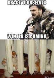 Maybe you would like to learn more about one of these? Meme Winter Is Coming Meme Viral Viral Videos