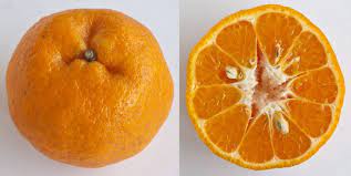 Limau langkat dan limau madu adalah dua jenis limau mandarin yang paling popular dan ditanam dengan meluas di negara ini. Sebelum Beli Wajib Tahu Jenis Jenis Limau Mandarin Yang Sedap Impiana