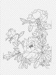 Download Drawing Peony Flower Line Drawing Flower Arranging White Png Pngegg
