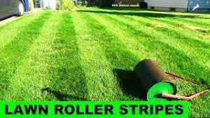 The first being with a mower itself and the second being with a garden brush. Lawn Striping With A Lawn Roller Youtube