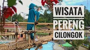 Wisata pereng cilongok, berada di kalimanggis utara, kecamatan cilongok, di tempat ini menyediakan wisata air dan taman. Wisata Pereng Cilongok Banyumas Youtube