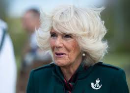 Camilla news & latest pictures from enstarz.com