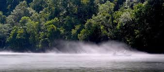 Maybe you would like to learn more about one of these? Take Your Pick Arkansas Fishing Vacation Destinations Are Peerless
