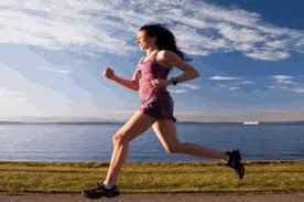 You and 11 people hop into 2 vans and proceed to take turns running over the course of about 200 miles. Running In The Florida Keys 1 Guide To Marathons Relays Clubs And Fun Runs