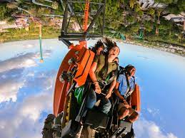 Housing more than 12,000 animals, busch gardens® tampa is one of the country's largest zoos. Hotels Near Usf In Tampa Fl Holiday Inn Express Tampa N I 75 University Area