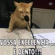 images?q=tbn:ANd9GcRHtg_RhsdWX00oNWEdll2