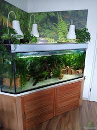 Bamboo also has several practical purposes. Aquarium Von Tanja Tilsner 40273 Axolotl Eckaquarium