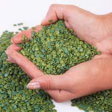 Maybe you would like to learn more about one of these? Polyethylene Pe Granule Gramis