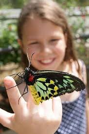 Best Key Lime Pie in Fort Lauderdale??