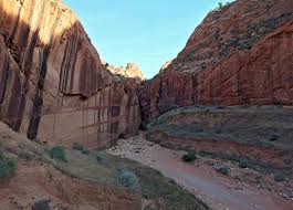 Buckskin gulch is the longest and deepest slot canyon in the southwest, and although not one of the prettiest, it is exceptional in regards to its variety of terrain. Trip Report For Buckskin Gulch Utah The Longest Slot Canyon In The World