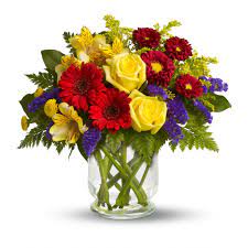 Season's minot is the best flower shop in downtown minot, nd, where you can buy different variety of flowers for wedding, valentine's day or any other buy and decor your house with season's minot wide range for home decoration plants, available online at affordable prices. Flower Central Floral Florists Minot Nd Flowers Minot 58701