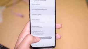 Next, locate the ' software info ' and tap on it. How To Enable Developer Mode On Samsung Galaxy S9 S9 And Note 9 Note 10 Usb Debugging Youtube