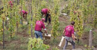 Si prepara il primo governo di centrosinistra di rumor. Restivo Il Ministro Siciliano Dell Isola Delle Rose Live Sicilia