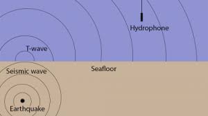 During an earthquake, seismic waves propagate in all directions from the hypocenter. How Is Sound Used To Study Undersea Earthquakes Discovery Of Sound In The Sea