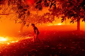 But did you check ebay? California Fires Smoke Blankets San Francisco Vacaville Evacuated