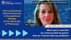 Online CScD in Occupational Therapy Program Curriculum