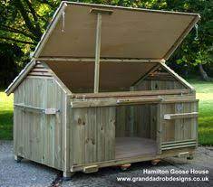 Just when we think we might have built the biggest, fanciest, most advanced tiny house in our repertoire, which has probably happened no less than 8 times now, we go and one up ourselves. 96 Turkey Goose Ideas Chickens Backyard Chickens Chicken Coop