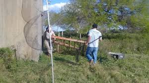 Noticias de última hora del 13 junio 2021. Deteccion De Brotes De Rabia Paresiante En Las Provincias De Chaco Y Formosa Argentina Gob Ar