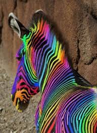 Dazz is created with crochet, made with a unicorn horn. Pin On Rainbow Colors