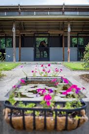 Uniting the love of special needs children and horses was the foundation of our dream. Style Inspiration For Your Stable