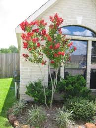 Pin By Shirin Schneider On My Someday Garden Front Yard Landscaping Design Landscape Ideas Front Yard Curb Appeal Crape Myrtle