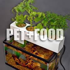 Aquariums in gardens can be tricky. Blue Green Box Helps Turn Your Aquarium Into A Hydroponic Fish Farm