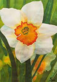 Pin By Phoebe On Daisies Daffodils Dandelions Flower Prints Art Floral Watercolor Flower Art