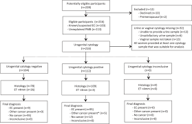 Vaginal bleeding or irregular periods after menopause lower abdomen or tummy pain Diagnostic Accuracy Of Cytology For The Detection Of Endometrial Cancer In Urine And Vaginal Samples Nature Communications