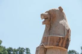 The first season of classic woodworking is made up of rebroadcast episodes of season eight of rough cut, with newly recorded introductions by mclaughlin. Chain Saw Carver Transforms Southington Tree Stump Into Art