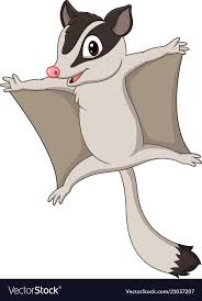 Cartoon Sugar Glider Gliding Royalty Free Vector Image Cartoon Sugar Glider Vector Images