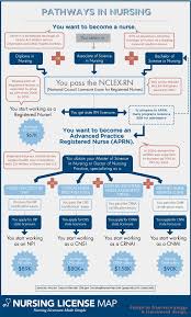 So You Want To Be A Nurse Pathways In Nursing Infographic Nursing Infographic Nurse Practioner Nursing License