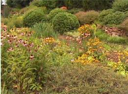Maybe you would like to learn more about one of these? Rain Garden Designing Walter Reeves The Georgia Gardener