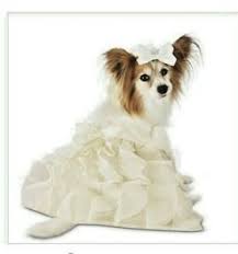 Find wedding dress in wedding | find wedding clothing in canada. Small Dog Wedding Dress For Sale Ebay