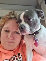 Vizsla Gender Mistakes and Beauty