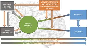 Search the world's information, including webpages, images, videos and more. The Neuroscience Of Positive Emotions And Affect Implications For Cultivating Happiness And Wellbeing Sciencedirect