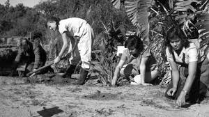 Israel liegt in westasien am östlichen ende des mittelmeers, wo sich afrika, asien und europa treffen. 70 Jahre Israel Mythos Kibbuz Als Labor Des Landes Archiv