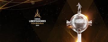 The tournament is named after the libertadores (spanish and portuguese for liberators), the leaders of the south american wars of independence, so a literal translati. Cl4notszz5rawm