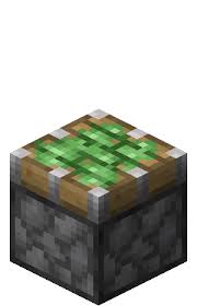 In minecraft, a bookshelf is one of the many building blocks that you can make. Piston Official Minecraft Wiki