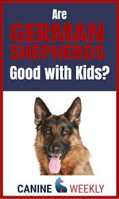 Are German Shepherds Good With Kids Canine Weekly German Shepherd Dog Hot Spots Big Dog Breeds