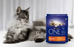 We recommend purchasing your pet products from chewy.com. 7 Purina One Cat Food Reviews Recalls Pros And Cons Pawsome Kitty