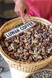 Kopi Luwak Coffee Beans Everything You Need To Know