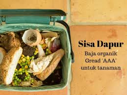 Selain itu, enzim protein cerna dan serbuk ikan juga dianggap sebagai baja organik. Inilah 7 Bahan Sisa Dapur Yang Dijadikan Baja Organik Terbaik Semua Semua Semuanya