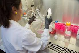 We did not find results for: Genetic Mutation Increases One S Susceptibility To Mesothelioma