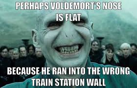 15 hilariously dank harry potter memes. These Harry Potter Memes Will Get You Through The Quarantine Film Daily