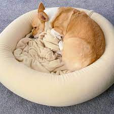 Just as serta makes beds for humans, they made comfortable beds for our canine pals, too! Best Cat Beds Best Dog Beds Your Pets Will Freakin Love It Pawpawplay