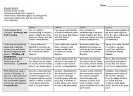 Final Assessment Task Mr Hasans Class